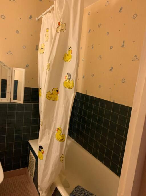 Appartement Confortable Et Tranquillite Assurer Tours Zewnętrze zdjęcie